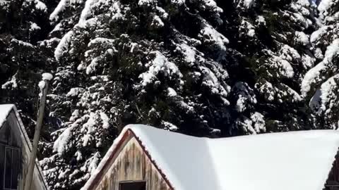 Beautiful Nature - Snow