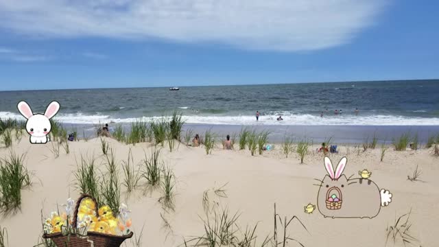 Everyone Needs A Week At The Beach