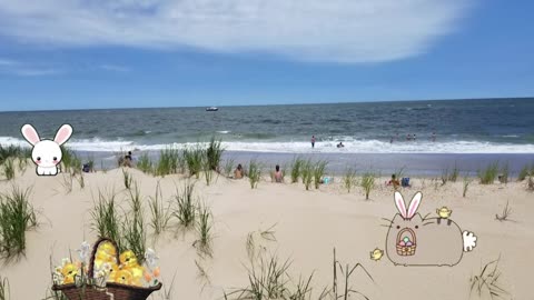 Everyone Needs A Week At The Beach
