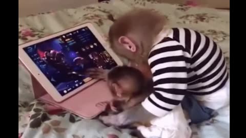 Funniest Monkey - cute and funny monkey videos