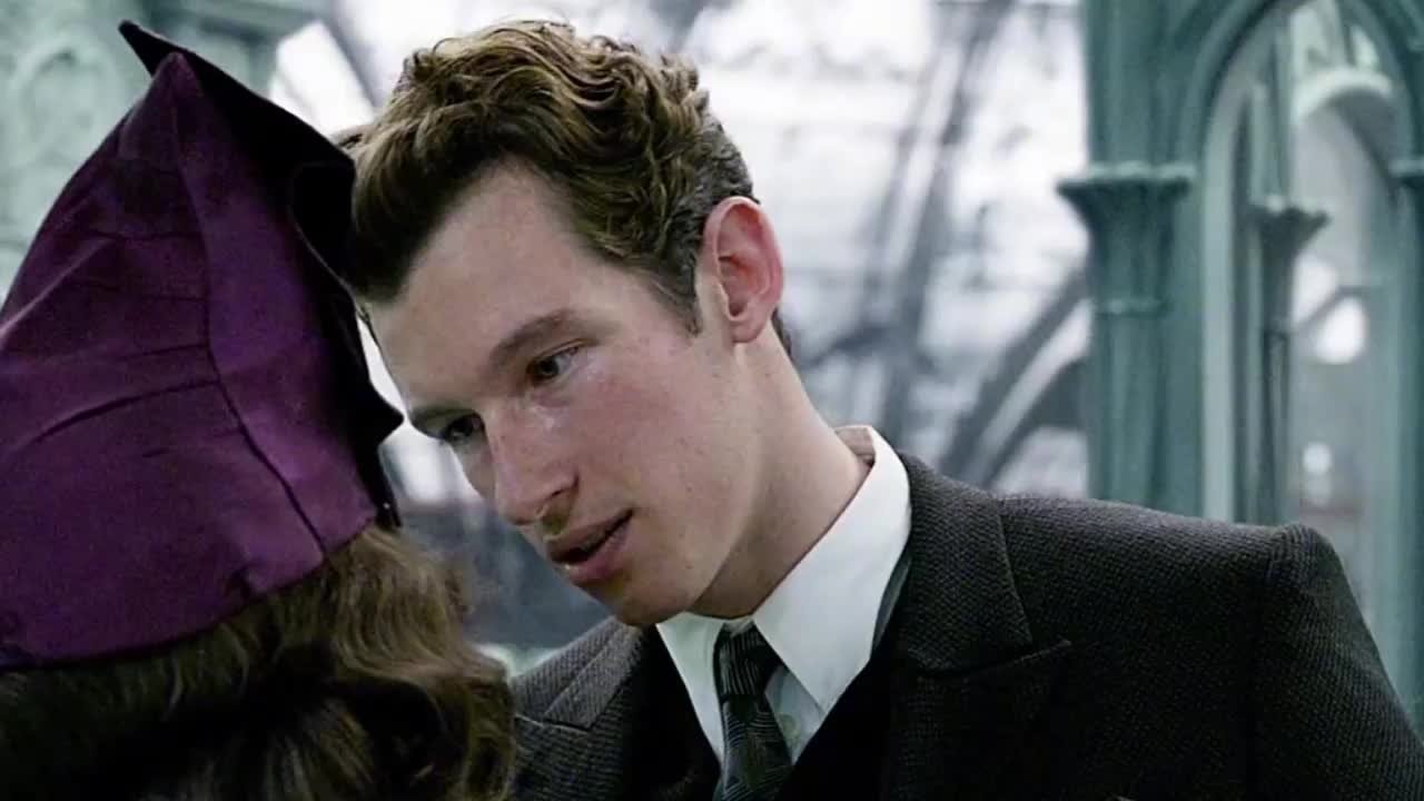 Theseus Scamander: Pet Brother Crazy + Hug Lover