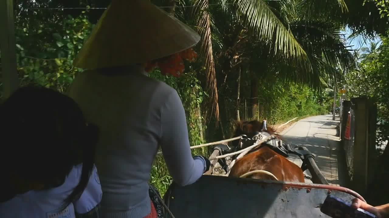 traditional Vietnamese lifestyle horse and cart