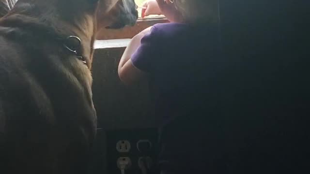 Little girl and her best friend