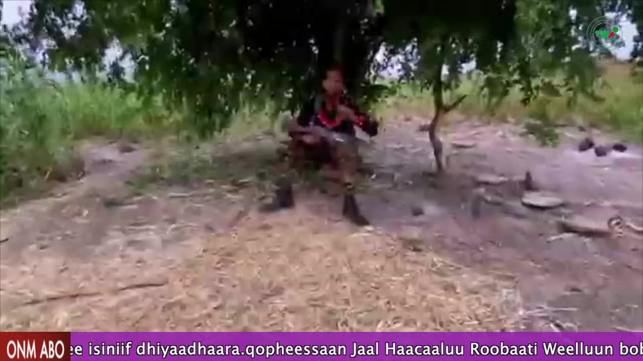 Qophii Humna weelluu ONM-ABO Hagayya 6-2024 itti dhiyaadhaa!