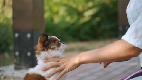 Young adult woman spending time in travel together with dog