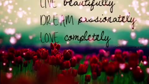 Live Beautifully