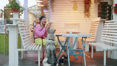 The cute dog playing with girl an eating food .pets lovers