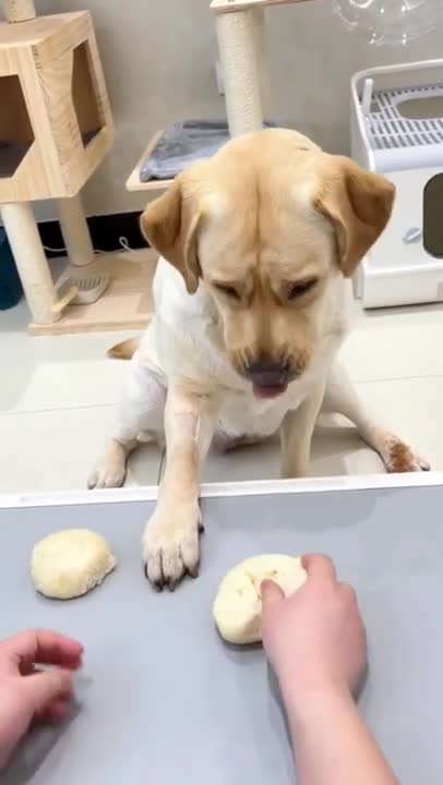 6.watch till end 🤣🤣🤣 from tiktok @alansa0009 #shorts