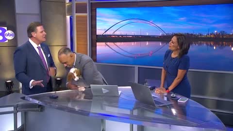 WFAA's Pete Delkus has a new dog, and we're already in love