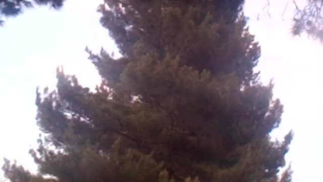 Arty video