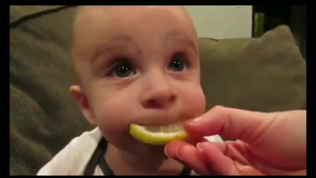 Baby eating lemon for the first time