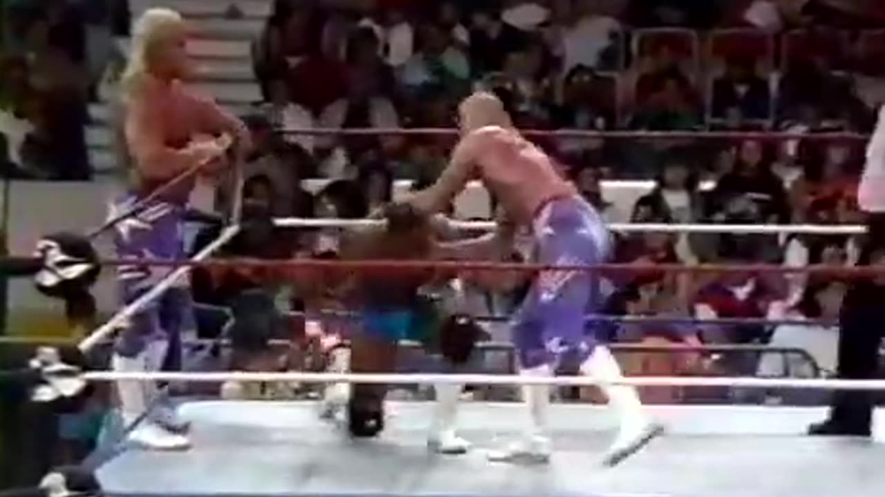 WWF Wrestling Challenge - Sep 15 1991