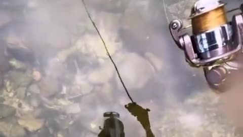 Who caught whom?