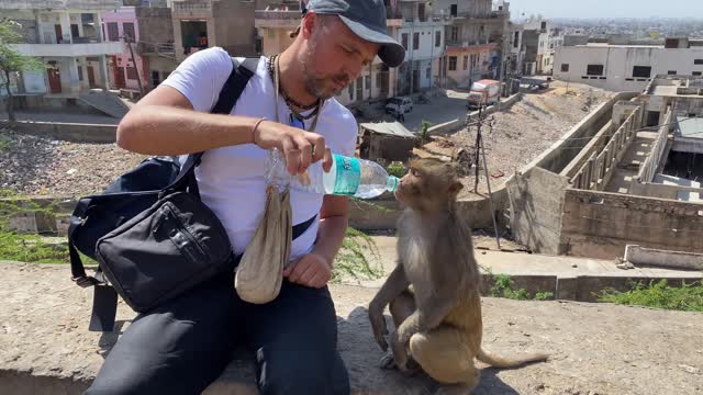 yt1s.com - Hanuman Seva Small act of kindness is louder than many words