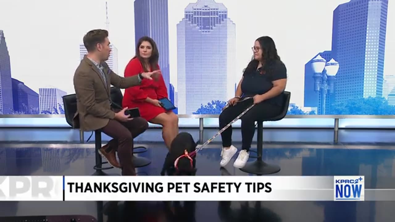 Thanksgiving pet safety tips