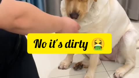 amazing 😍 viral # shorts