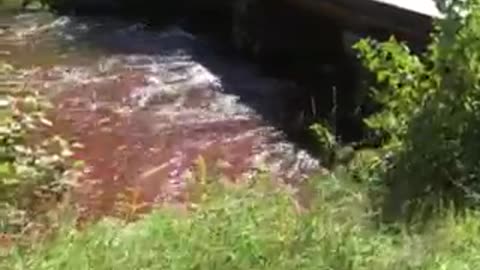 Sturgeon River, Wolverine, Michigan