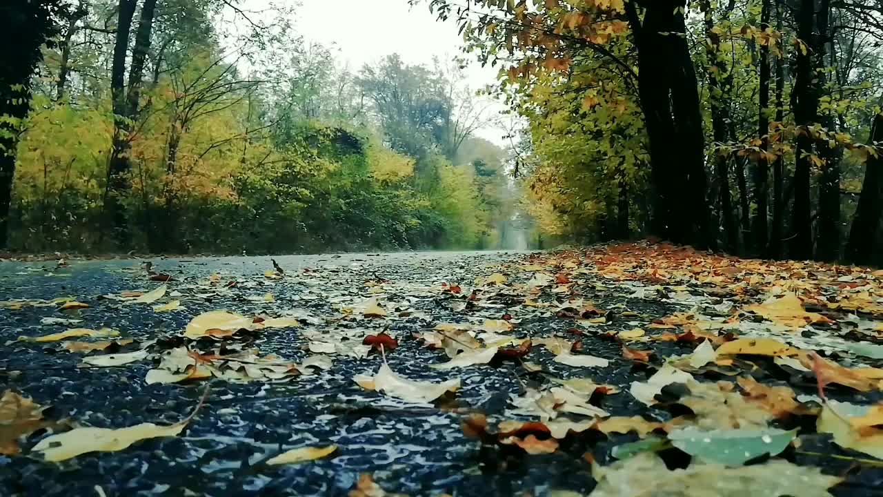 Relaxing with natural sounds of piano rain on the way