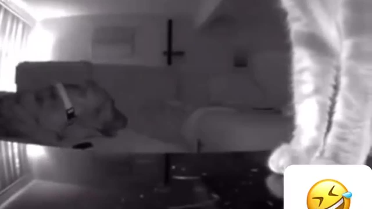 Video no. 149 you get a surprise in one of our videos stay tuned
