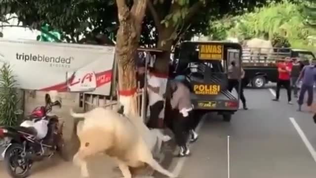 Amazing Video Funniest Comedy For Fun | Eps 27