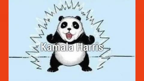 WHITE DUDES FOR HARRIS IS BEYOND HILARIOUS