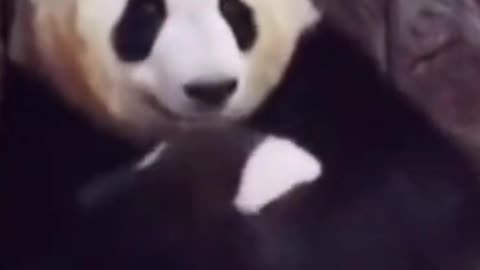 MOMMY LOVES YOU!