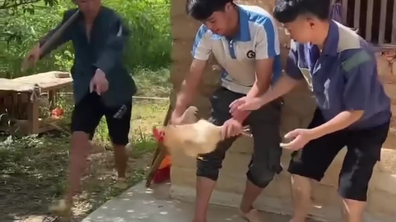Funny Fails At Work 🤣🤣