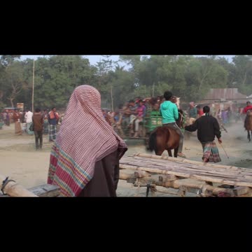 best wide horse rolling stones #horseracig 😍 #shortvideo #villagemarketbd #horsevideo #villagelife