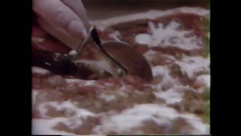 Ragu Pizza Quick Pizza Sauce Commercial (1983)