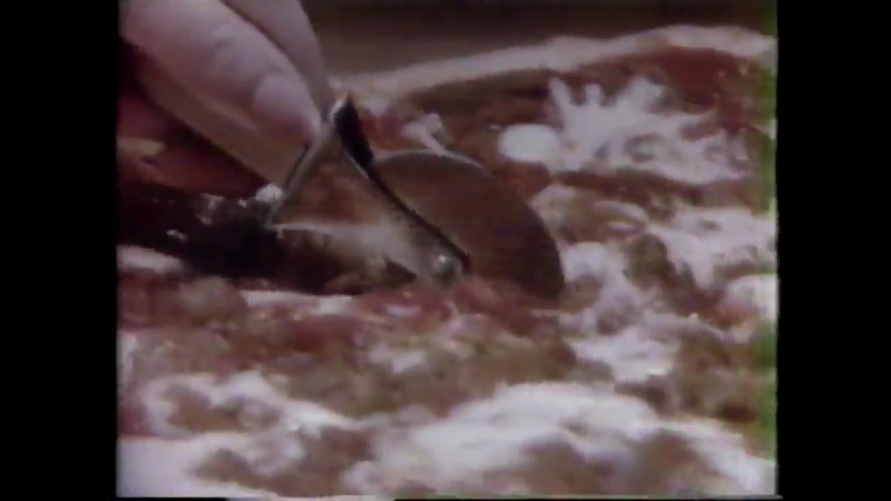 Ragu Pizza Quick Pizza Sauce Commercial (1983)