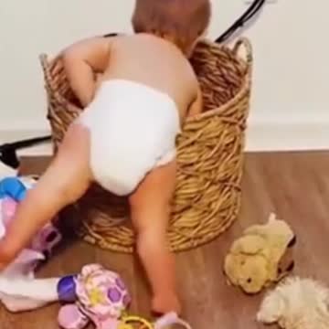 fell into the basket with toys