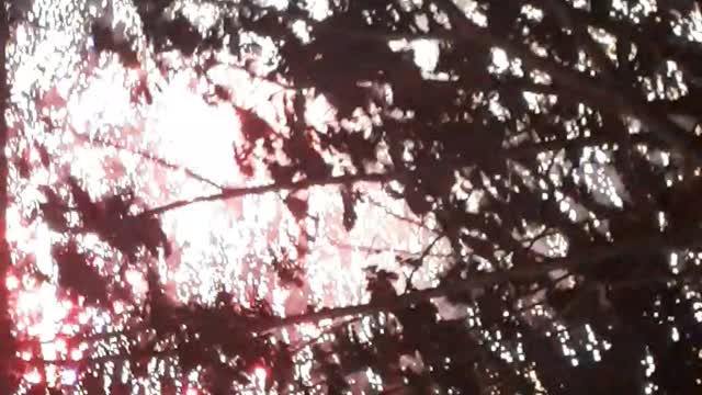 watching live fireworks is really good
