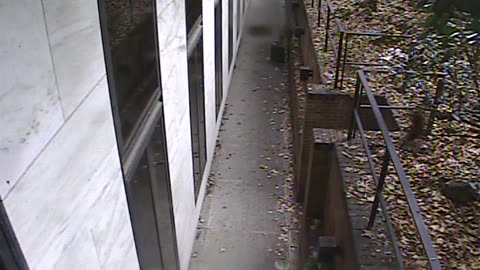 1457HSOB01GroundSoutheast_2021-01-06_11h27min07s887ms.mp4