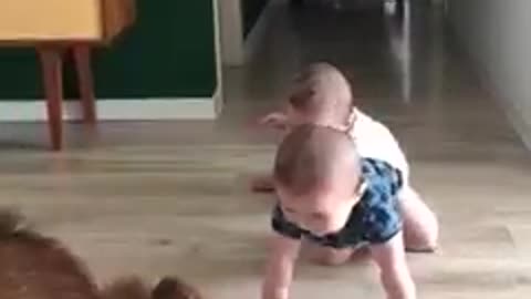 Twins baby calmly and lovingly playing with dog