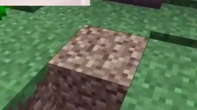 Minecraft player has experience minecraft gaming