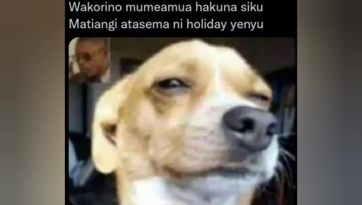 Funniest Kenyan memes compilation #60