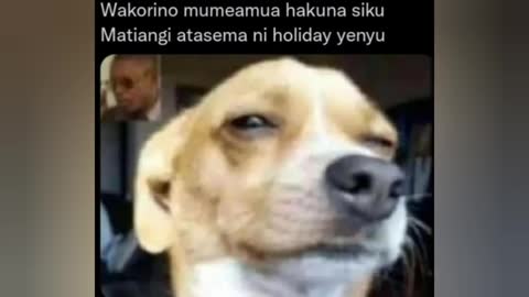 Funniest Kenyan memes compilation #60