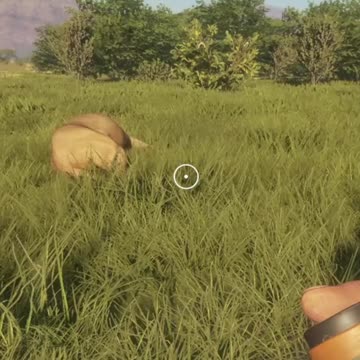 Don't forget Deodorant in Hunter Call of the Wild