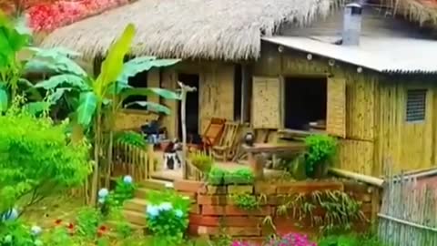 House With Nature