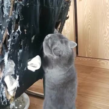 So my chai is so bad🤣