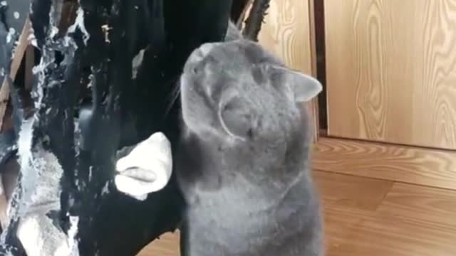 So my chai is so bad🤣