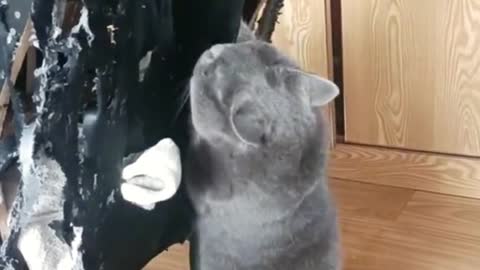 So my chai is so bad🤣