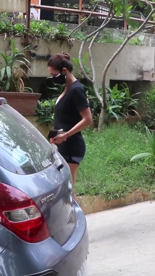 Actress talking dog top video animal