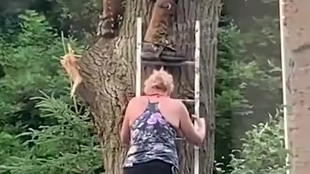 funny fails caught on camera