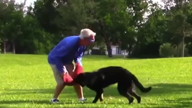 How To Make Dog Become Fully Aggressive With Few Simple Tips