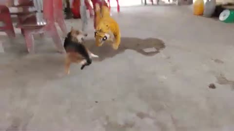 Dogs reactions on fake 🐅🐅🐅🐅🐅🐯