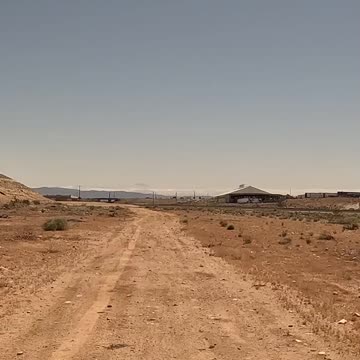 Id rather die free than have lived inside a petting zoo