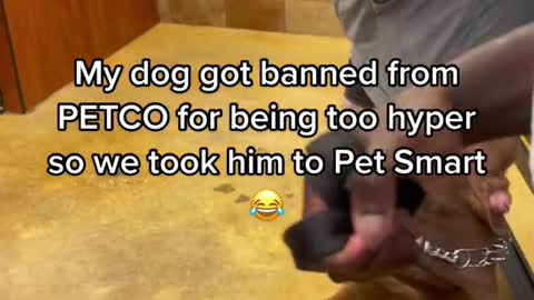 todauMy dog got banned fromPETCO for being too hyper