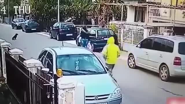 Животные спасают жизнь людям