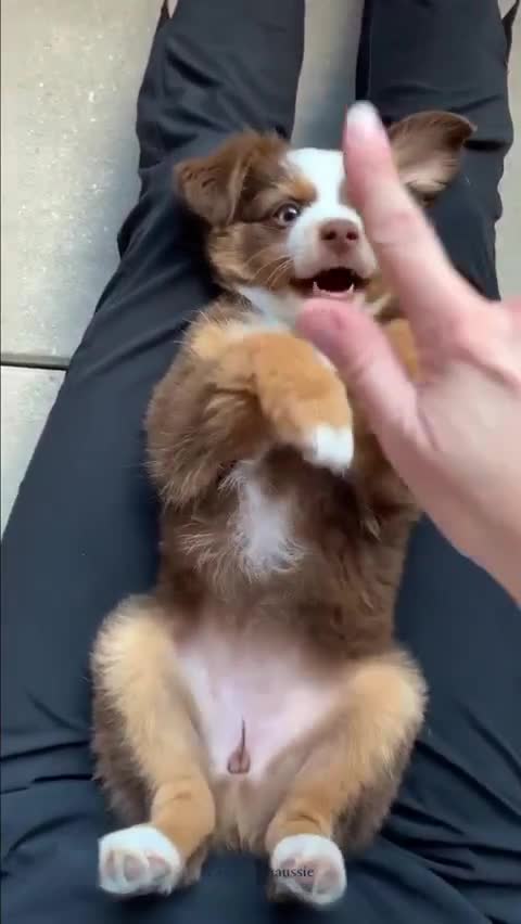 Good morning!Доброе утро!